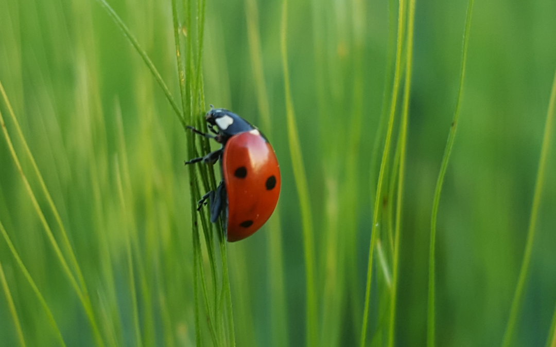 Eine Ostergeschichte