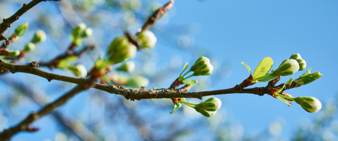 Unsere Erreichbarkeit über Ostern